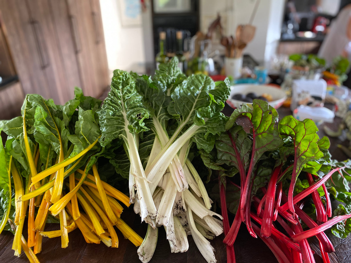Acelga de Colores