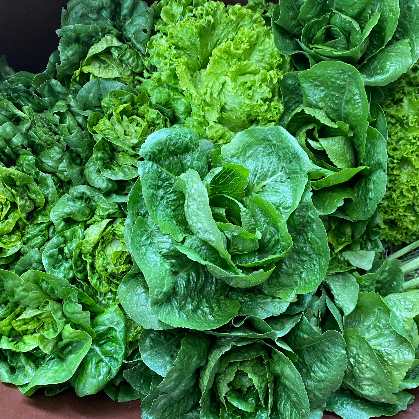 Canasta para jugo verde
