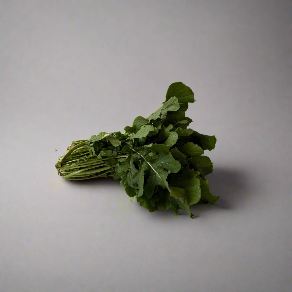 Rúgula