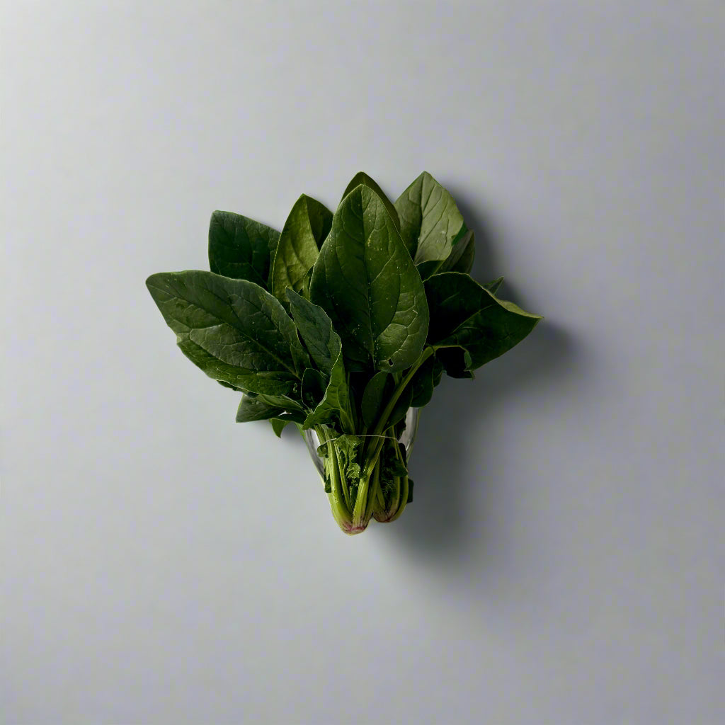 Espinaca