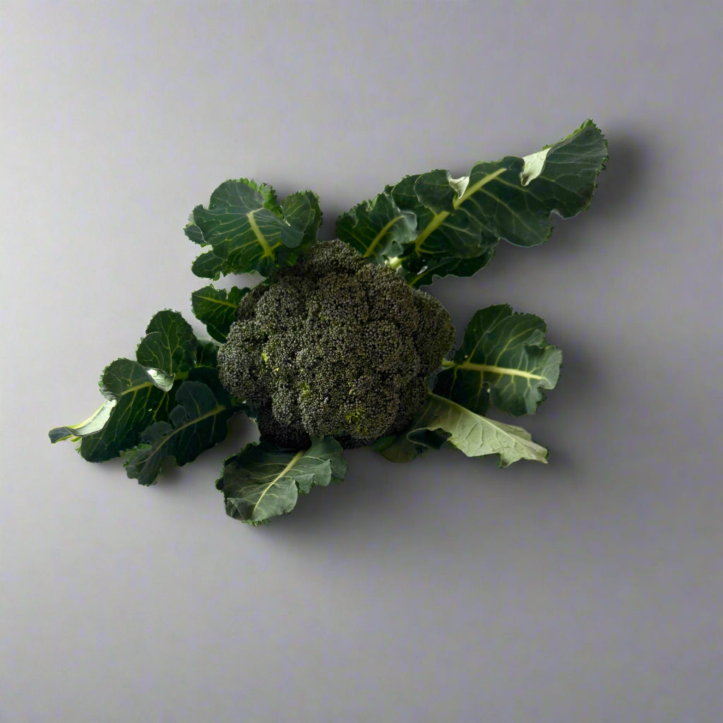 Brócoli