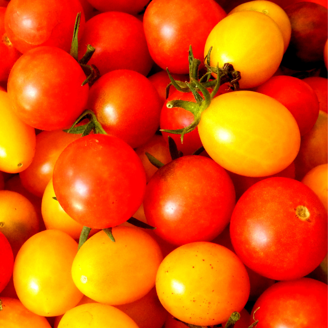 Tomate Cherry Rojo/Amarillo