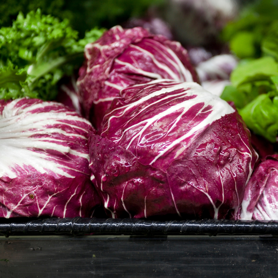 Lechuga Radicchio