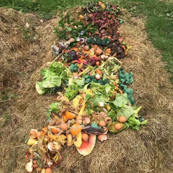 Recojan Recojan Mi Compost – LABRADA HUERTA