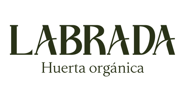 LABRADA HUERTA