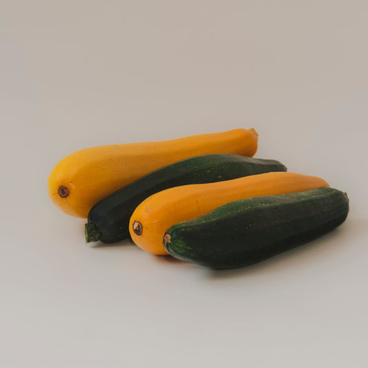 Zucchini