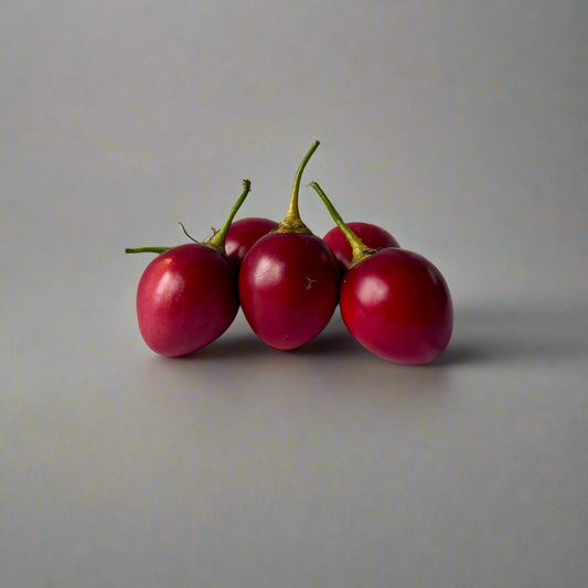 Tomate de árbol